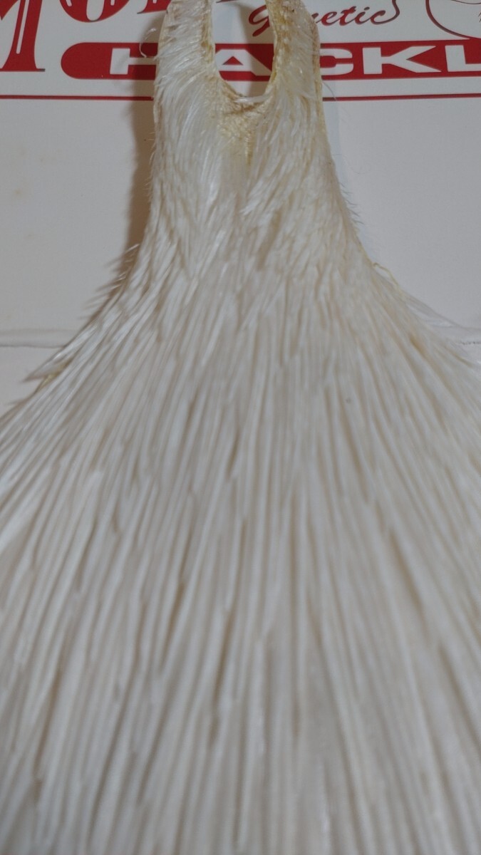 ☆ホワイティング ホフマン コックネックハックル#１ホワイト WHITING HOFFMAN COCK NECK HACKLE WHITE☆ジェネティック ドライの画像3