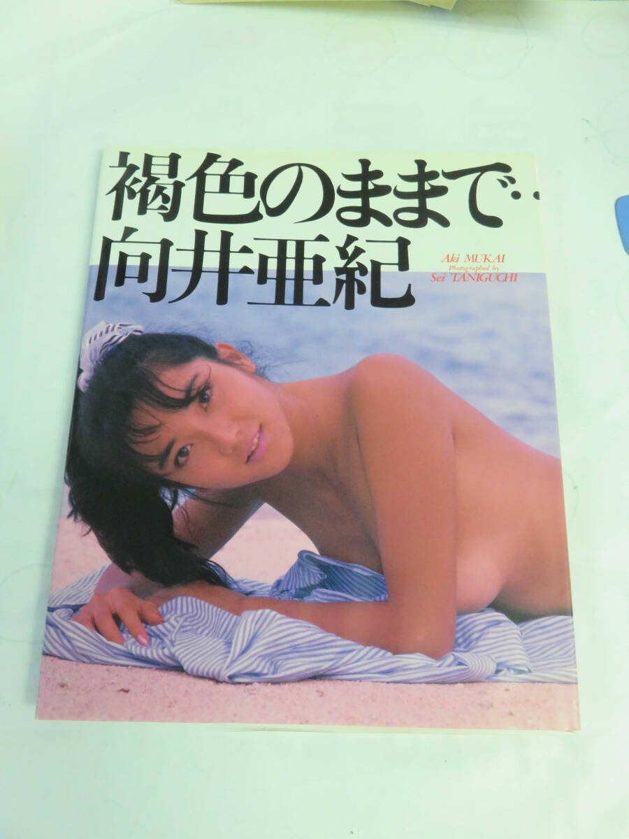 【写真集】褐色のままで 向井亜紀 谷口征 ワニブックス 1990年10月 増刷の画像1
