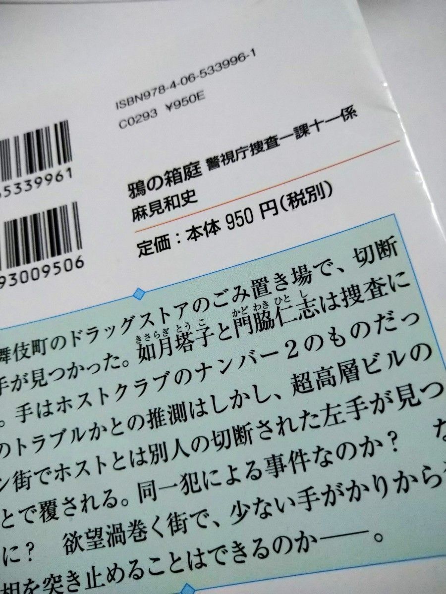 鴉の箱庭 （講談社ノベルス　アＡＫ－１７　警視庁捜査一課十一係） 麻見和史／著