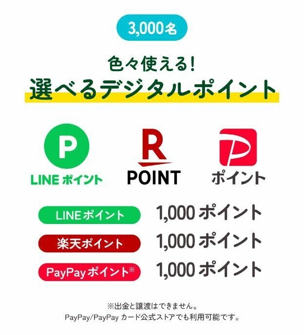 懸賞応募 アサヒ十六茶 十六素材のキャラクターを集めながら豪華景品を当てよう 16PLANT HUNT キャンペーン シール14枚 デジタルポイント等の画像2