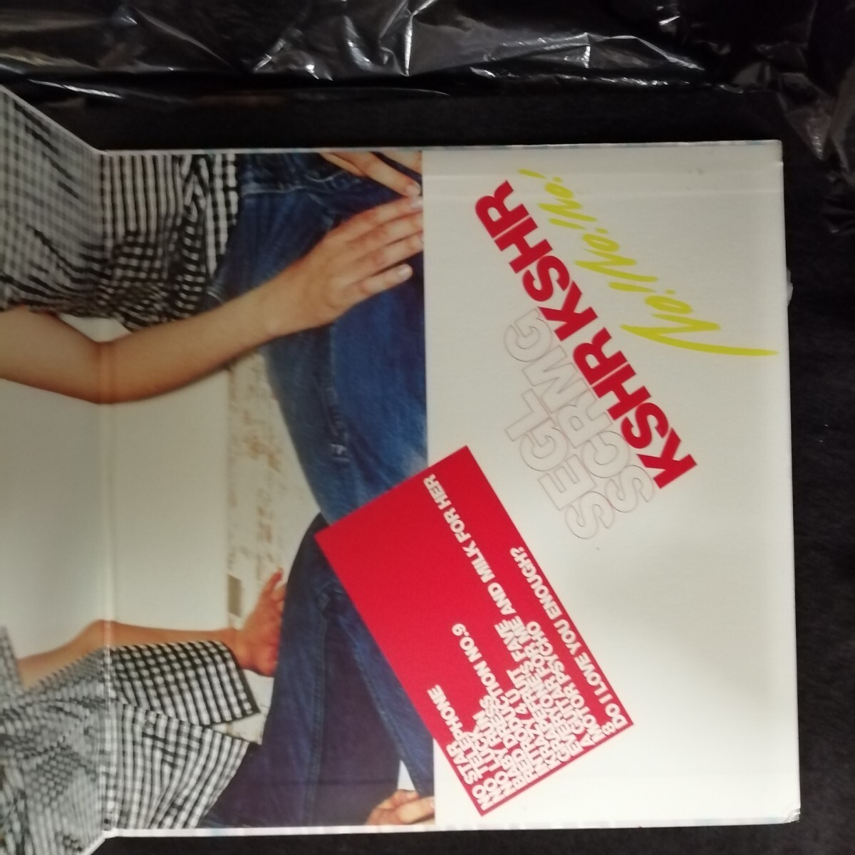 D04 中古LP 中古レコード シーガルスクリーミングキスハーキスハー　　 SEAGULL SCREAMING KISS HER KISS HER no!no!no! 国内盤　MTJD-1003_画像4