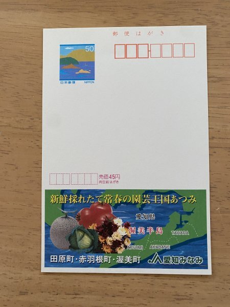 額面50円はがき　エコーはがき　未使用はがき　広告はがき　新鮮採れたて常春の園芸王国あつみ　愛知みなみ　渥美半島_画像1