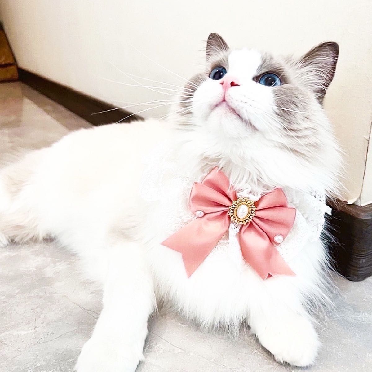 ペット用首輪 猫 犬 小動物用 レース リボン 真珠 おしゃれ 可愛い 韓国イエロー