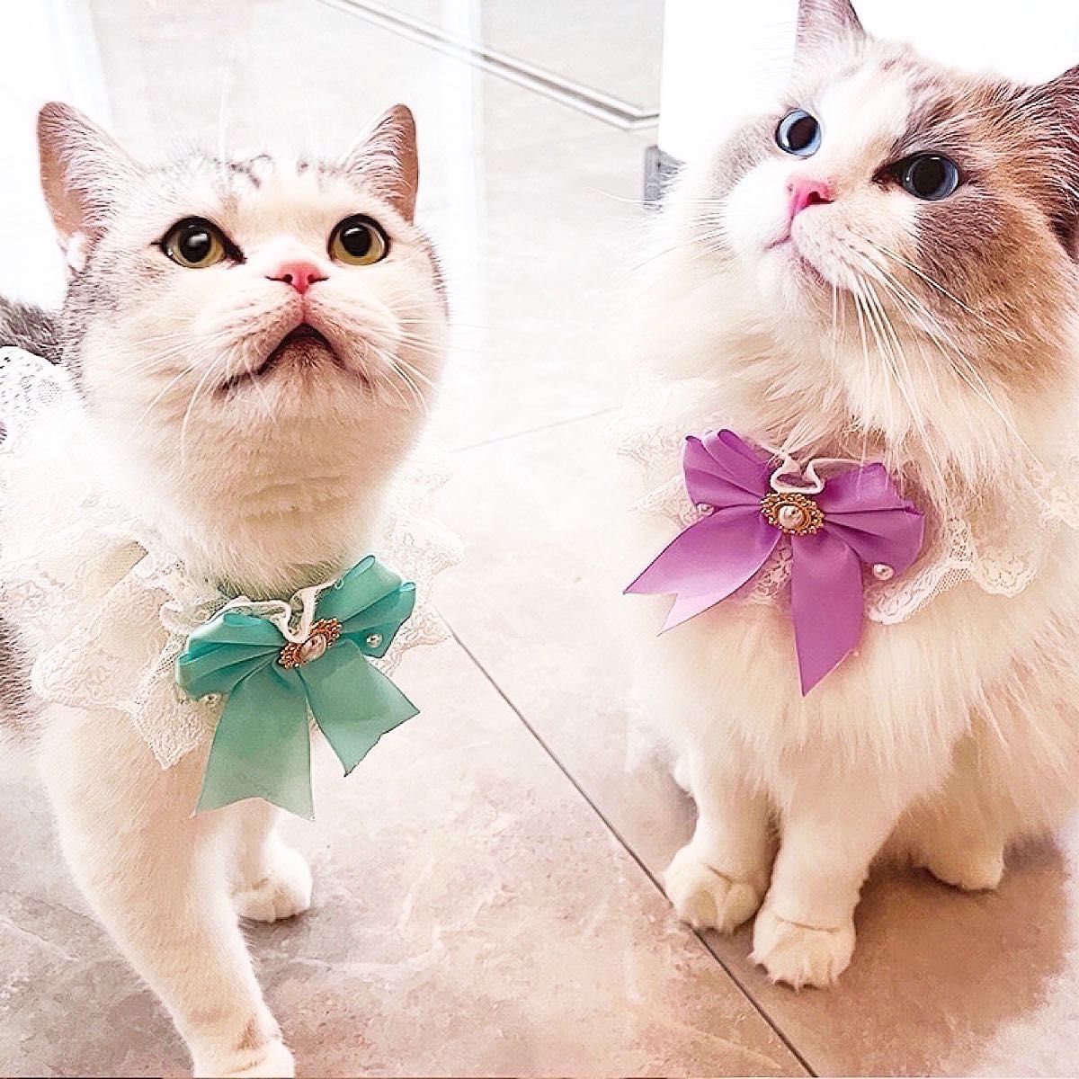 【大人気】ペット用首輪 猫用 犬用 レース リボン 真珠 パール おしゃれ 可愛い スカイブルー