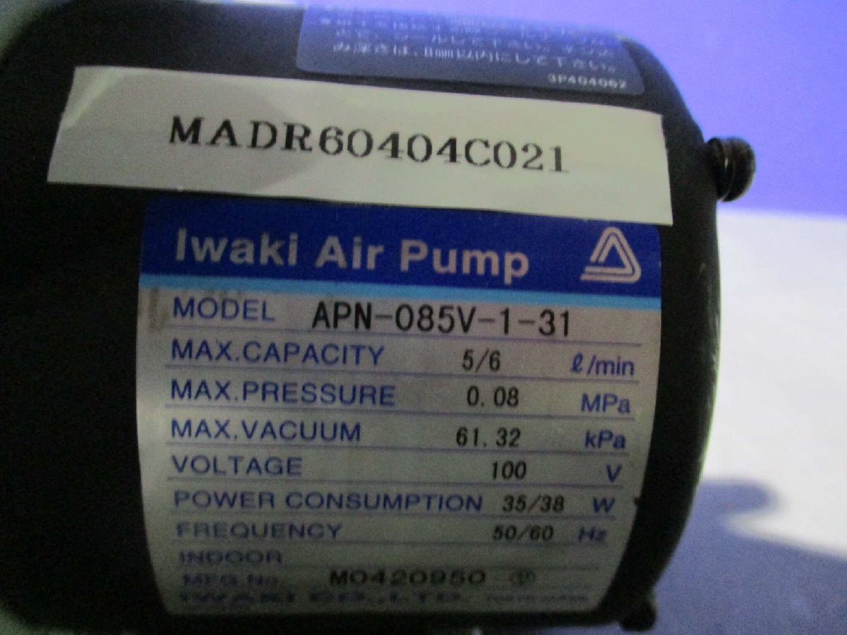 中古 IWAKI APN-085V-1-31 100V Air Pump (MADR60404C021)_画像1