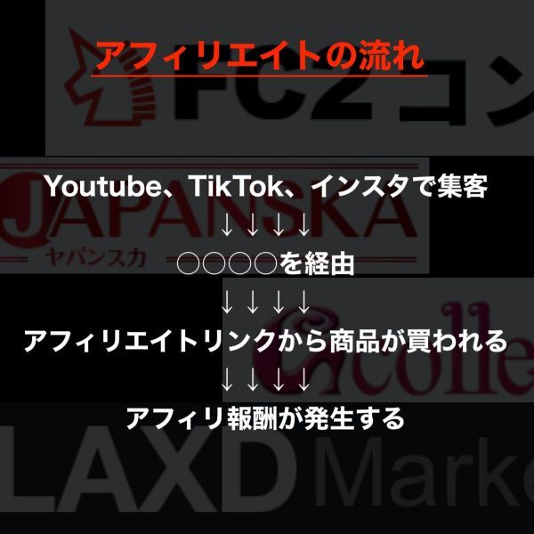 【ドル箱ビジネス】インスタ、Youtube、TikTokで大量拡散！合法的にアダルトコンテンツをアフィリエイトする方法 /ブログ,副業,在宅勤務_画像3