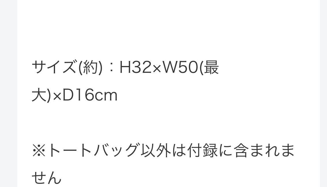 付録 ユニセックスで使える お洒落なデイリートート JOURNAL STANDARD ジャーナルスタンダード レサージュ の画像2