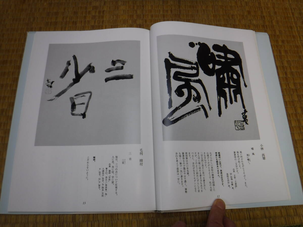 教本色紙作例集　広津雲仙　書藝界_画像5