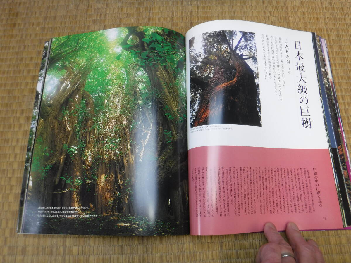 item_image_8