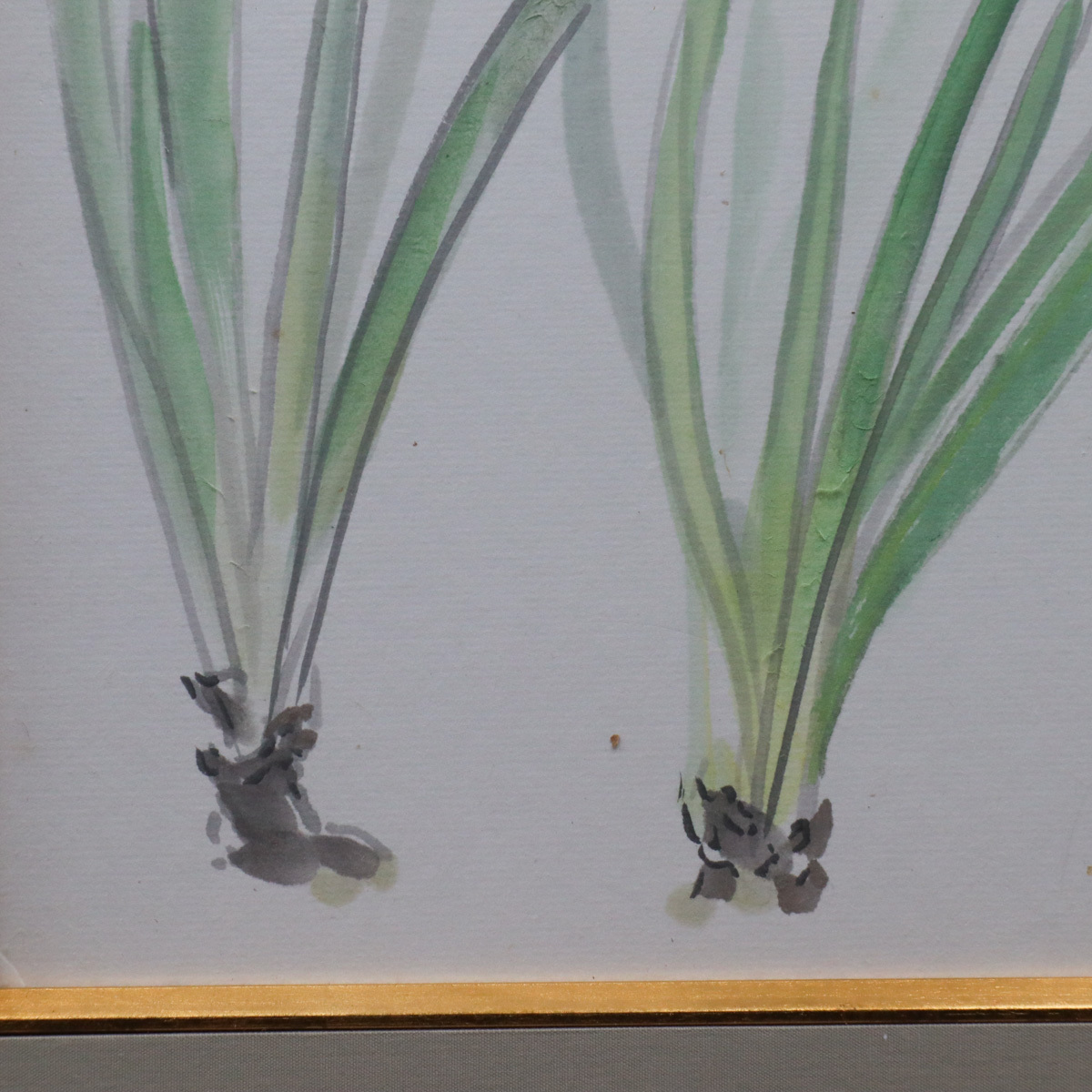 【宙】模写 田中一村 水仙図 日本画 色紙 落款有 額装 孤高の天才画家 日本のゴーギャン 奄美大島 C4F18.l.Dの画像5