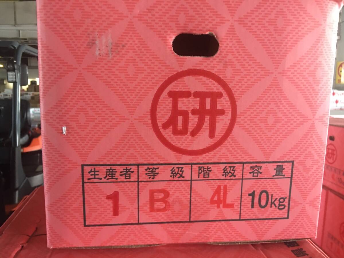 ②1円スタート高知より直送 土佐文旦 超人気〇研赤箱 10㎏4LB 露地栽培 希少4Lサイズ超大玉 訳ありの画像2