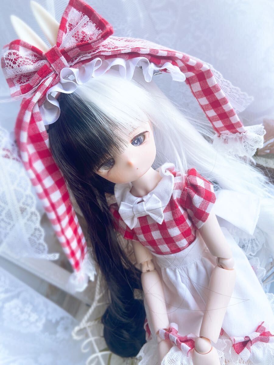 【しらゆきここ】DDH-27 SW肌 カスタムヘッド＋碁石アイ＋着用お洋服 MDDの画像6