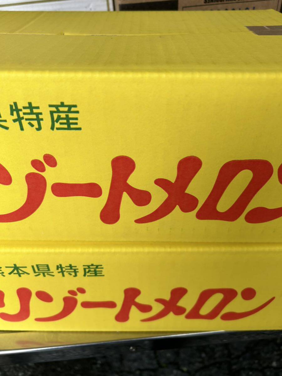 送料込み 熊本産 リゾートメロン 優品 M 8玉 4/6発送予定 家庭用 箱込3.7k_画像8