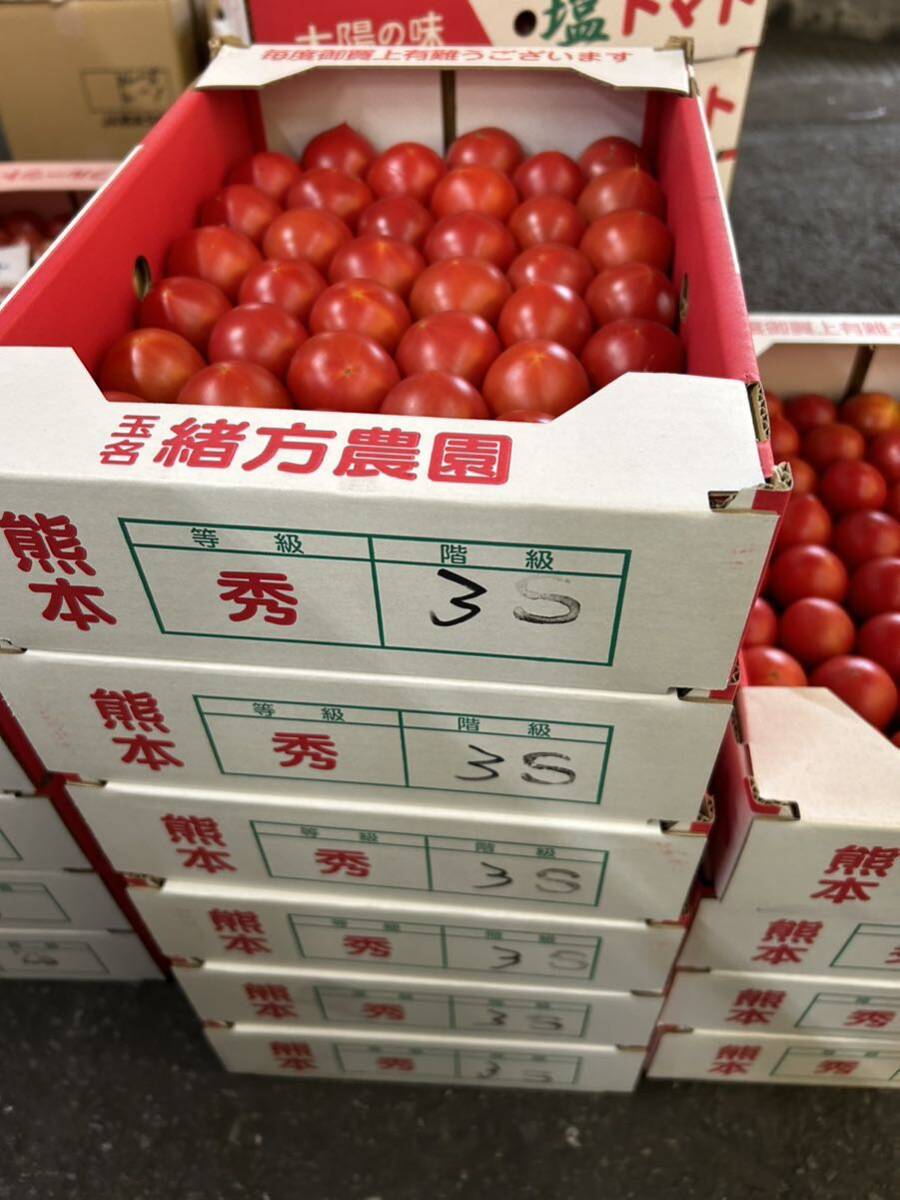 送料込み 熊本産 塩トマト 3sサイズ 4/22発送予定 箱込み約1.4キロの画像3