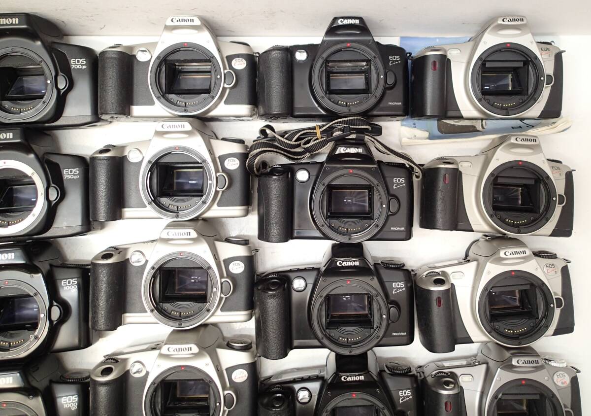 M291D Canon AF 一眼レフ フィルムカメラ 大量３６台 EOS Kiss Panorama Ⅲ L 5 10QD 100QD 620 630 650 700QD 750QD 1000QD IX等 ジャンク