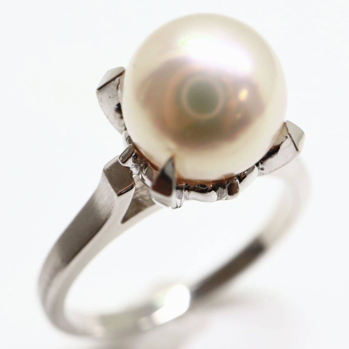 TASAKI( Tasaki Shinju ) с коробкой!!{Pt900 Akoya книга@ жемчуг кольцо }A примерно 4.9g 10 номер примерно 8.0mm. жемчуг pearl ювелирные изделия ring кольцо EB3/EB
