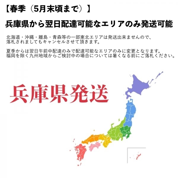 【10個＋死着保証2個】スーパーシッタカ貝★コケ取り貝 コケトリ貝★薬浴・トリートメント済みの画像8