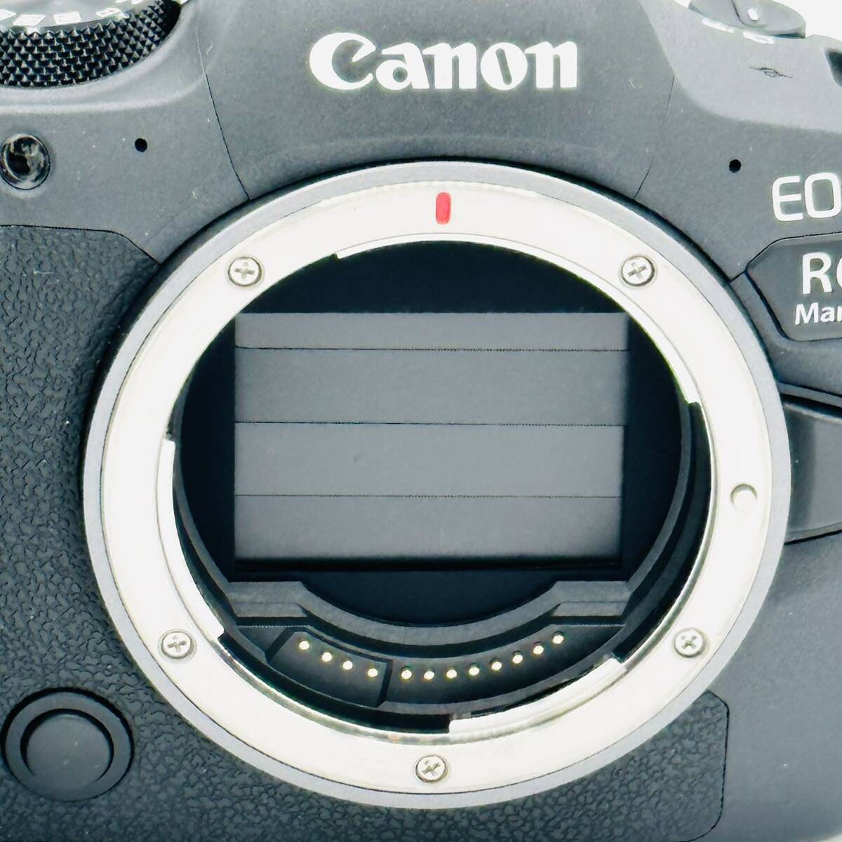 83200円 【ほぼ新 8000ショット以下】キヤノン EOSR6MK2 ミラー 83200円 【ほぼ新 8000ショット以下】キヤノン EOSR6MK2 ミラー