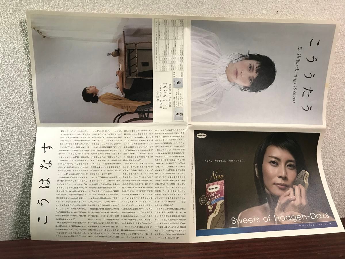 柴咲コウ グッズ 激レアポスター 激レアスペシャルBOOK 初回限定 柴咲コウ グッズ 激レアポスター 激レアスペシャルBOOK 初回限定