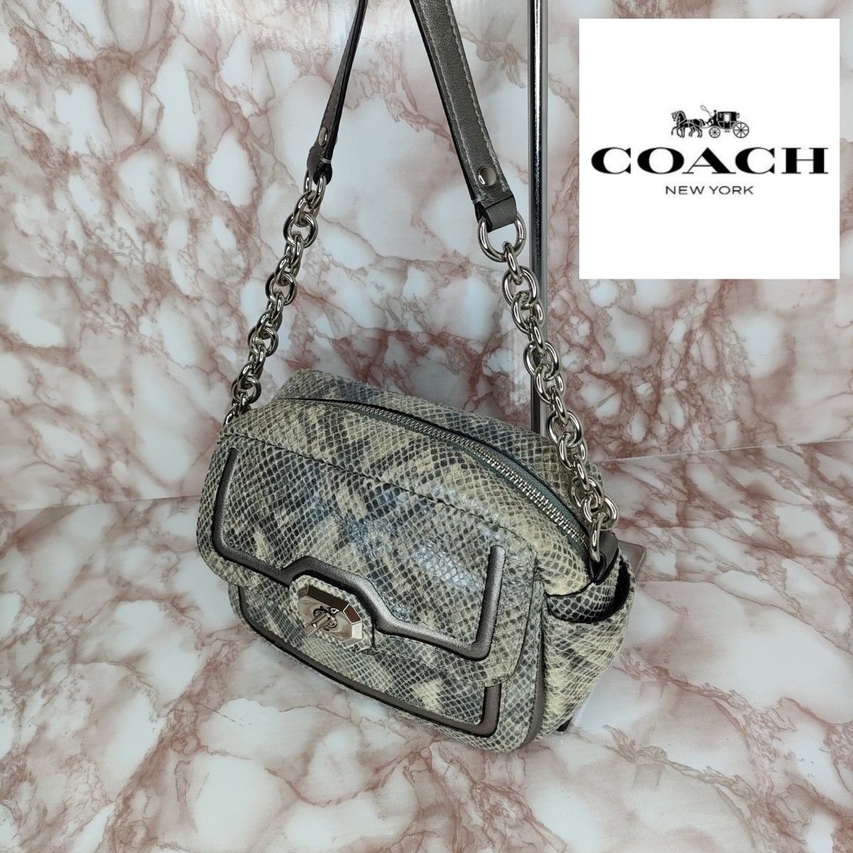 COACH　 コーチ　 ショルダーバッグ　パイソン柄