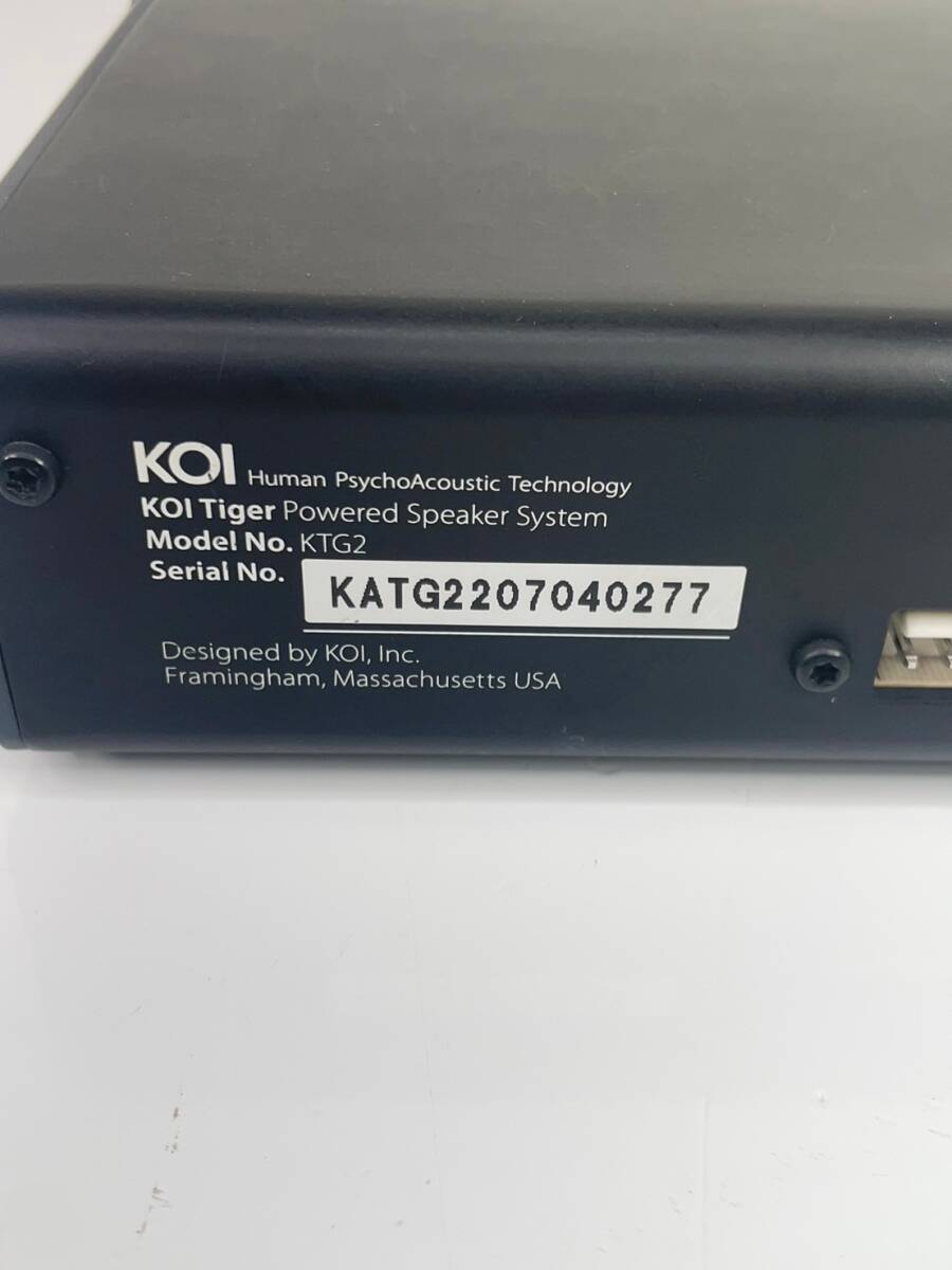  Pro purveyor! rare!KOI TIGER power speaker system koi