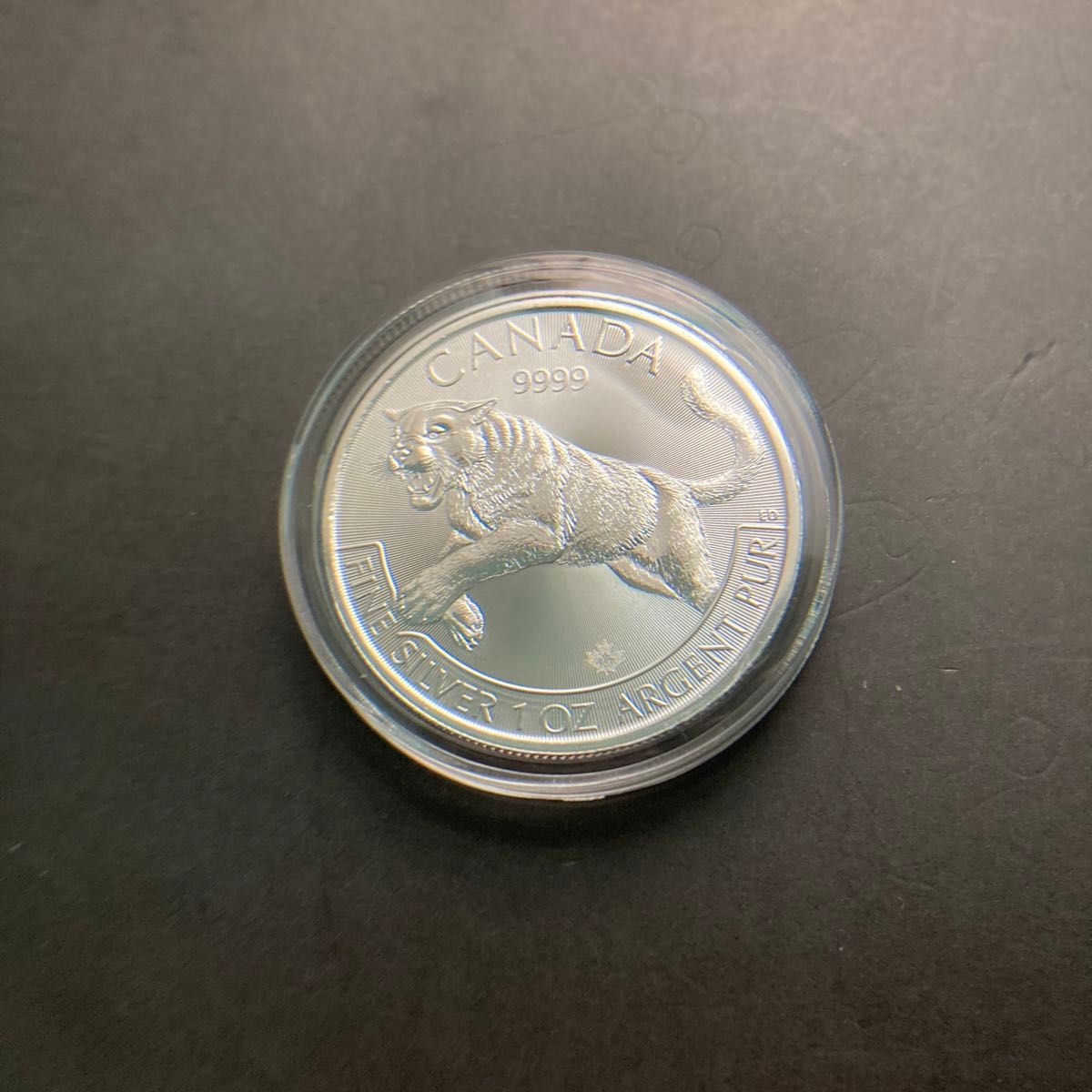 2016年 カナダ　クーガー銀貨　1オンス銀貨