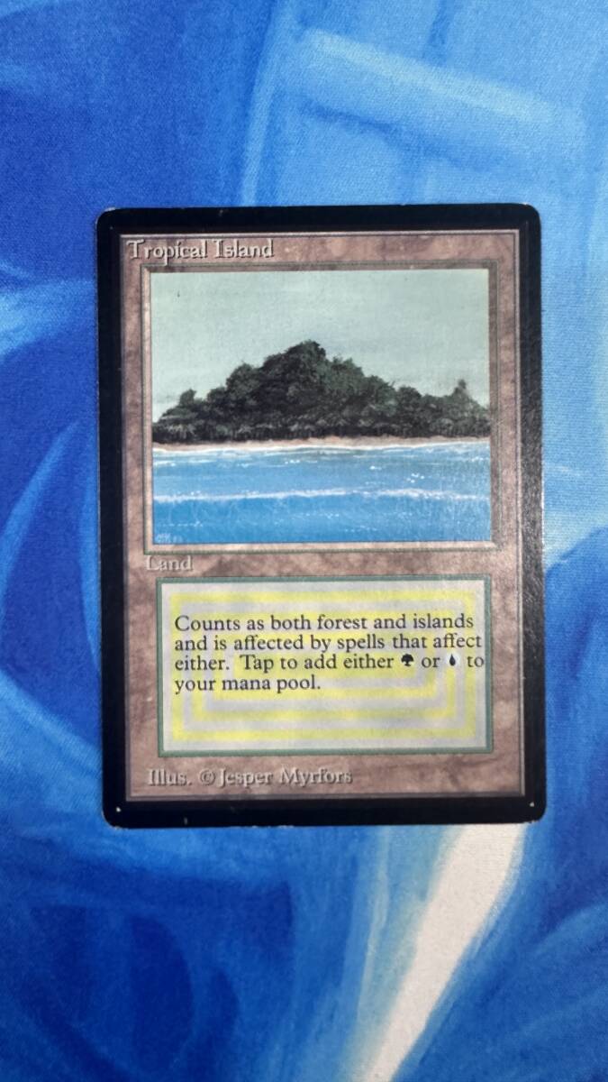 高い素材 MTG Tropical Island β ベータ 英語版 デュアルランド 高い素材 MTG Tropical Island β ベータ 英語版 デュアルランド
