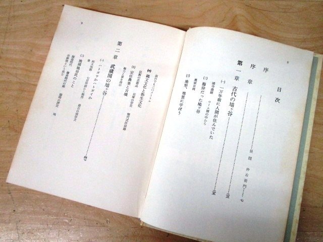 ◇F2876 書籍「新編 鳩ケ谷の歴史」平野清著 昭和45年 鳩ケ谷の歴史刊行会 函付 郷土史/日本史/文化/民俗/資料/史料/板碑/埼玉県川口市_画像5