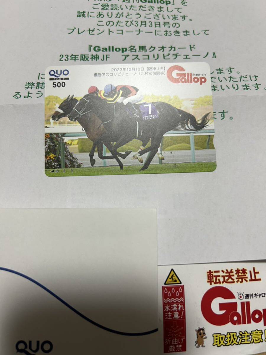 週刊Gallop 名馬クオカード アスコリピチェーノ 2023年 阪神JF 抽プレ 非売品 QUOカード ギャロップの画像2