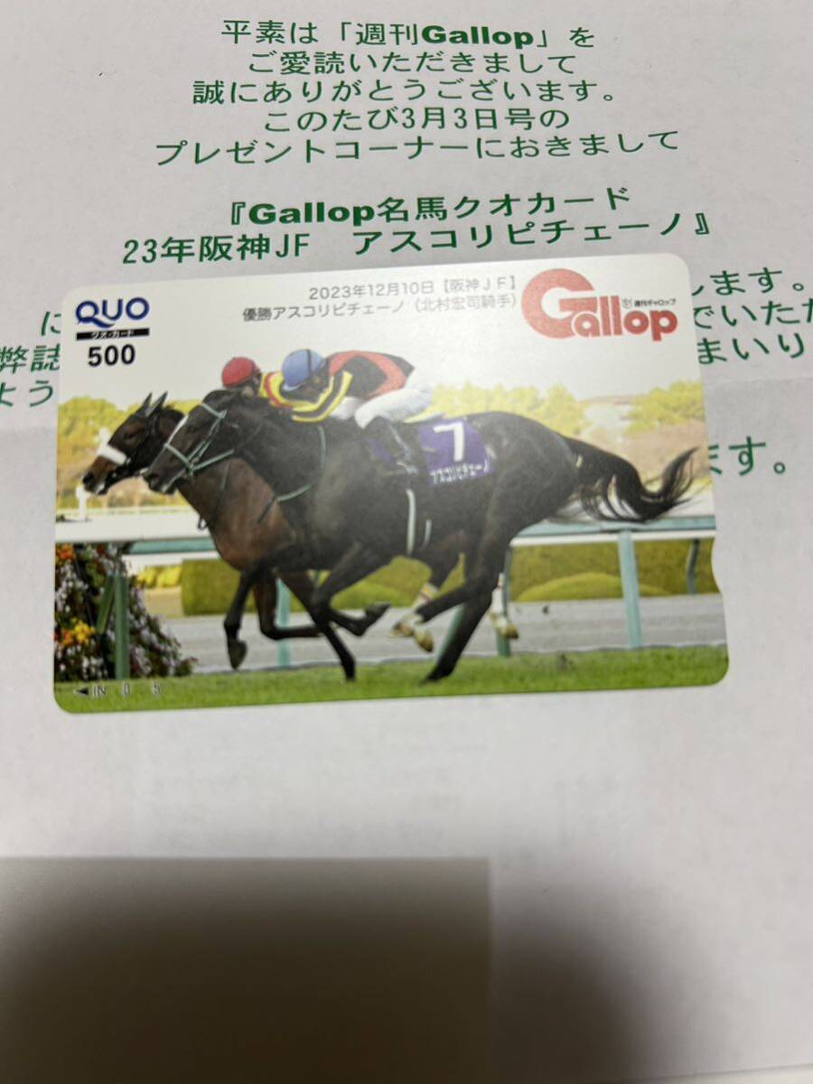  еженедельный Gallop название лошадь QUO card askolipi che -no2023 год Hanshin JF. pre не продается QUO карта gyarop