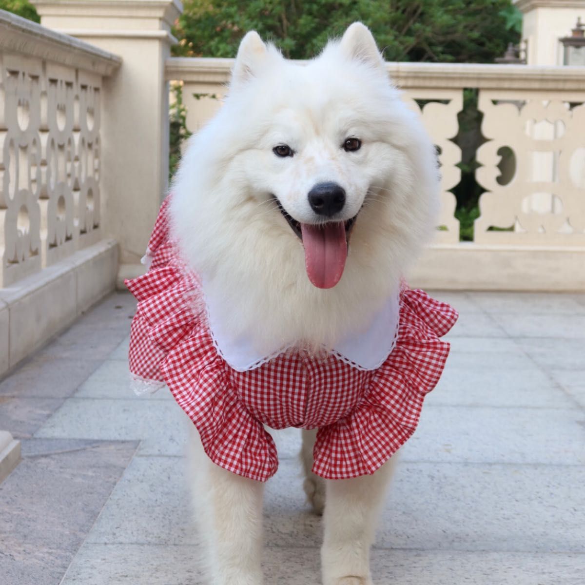 犬服 ペット服 中型犬 大型犬 春夏 ギンガムチェックワンピース:XXL~6XL