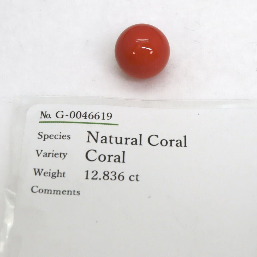 ☆天然本珊瑚 約2.6g☆A 12.836ct 約12.2mm ルース 裸石 宝石 コーラル さんご 丸珠 coral jewelry DA0/DA0_画像4