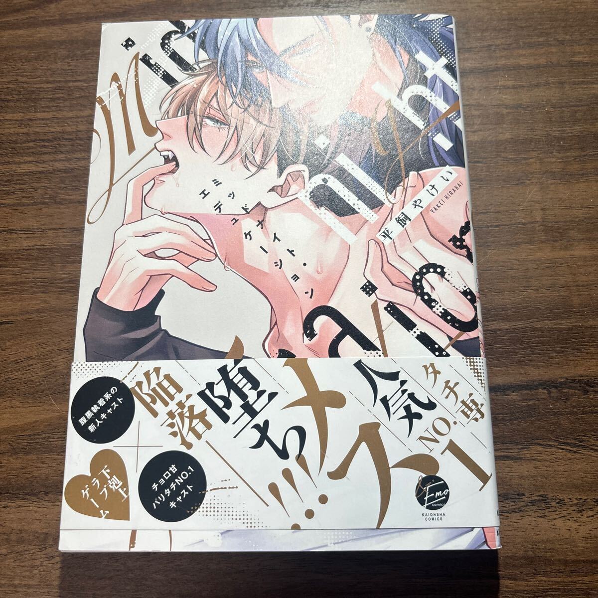 ミッドナイト・エデュケーション／平飼やけい　　3月刊_画像1