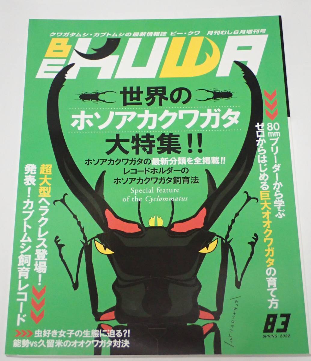 BE KUWA ビークワ No.83■世界のホソアカクワガタ大特集｜最新分類を全掲載／カブトムシ飼育レコード／虫好き女子の生態に迫る_画像1