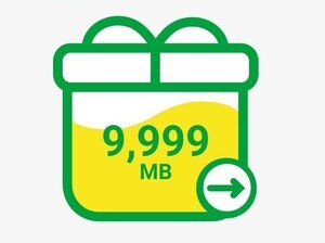 mineo  パケットギフト 10GB （9999MB）の画像1