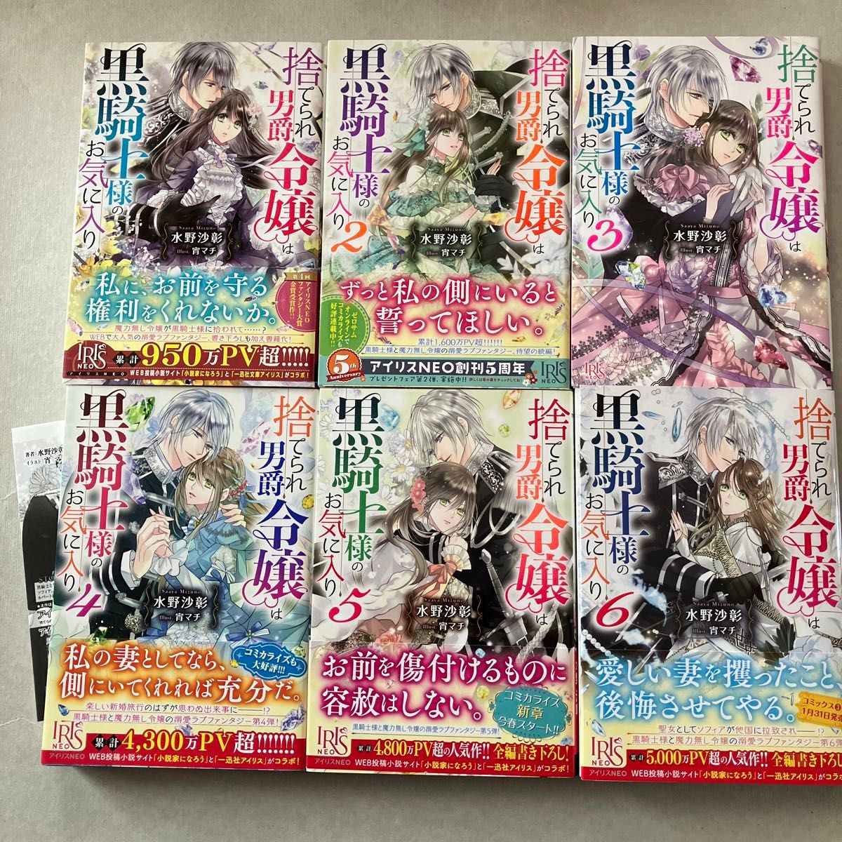 捨てられ男爵令嬢は黒騎士様のお気に入り1〜6巻　小説 アイリスNEO 水野沙彰