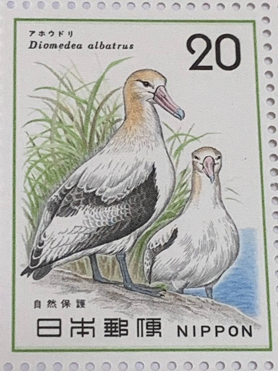 自然保護シリーズ  アホウドリ 20円×20枚 額面400円 同封可能 キ152の画像5