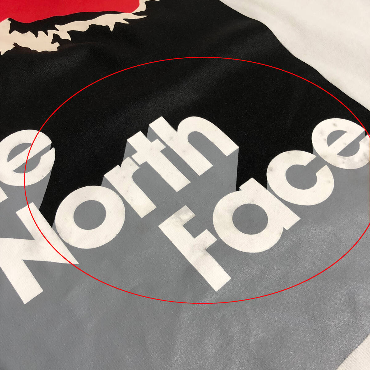 THE NORTH FACE ノースフェイス ショートスリーブ スノーマウンテンT Tシャツ バックプリント ロゴ L 白 NT32012 メンズ A33_画像5