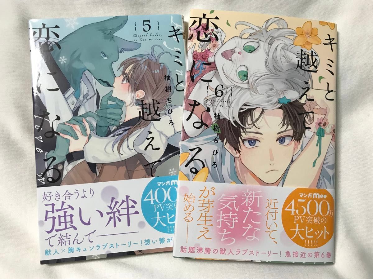 キミと越えて恋になる　5.6巻（マーガレットコミックス） 柚樹ちひろ／著