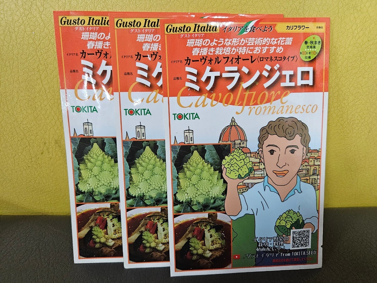 イタリア野菜種 ミケランジェロ 50粒×3袋 未開封有効期限切れの画像1