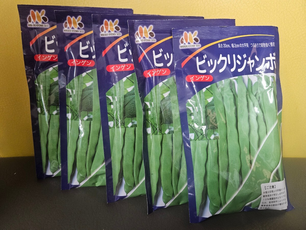 インゲン豆種 ビックリジャンボ 1.1dl×5袋 未開封有効期限切れの画像1