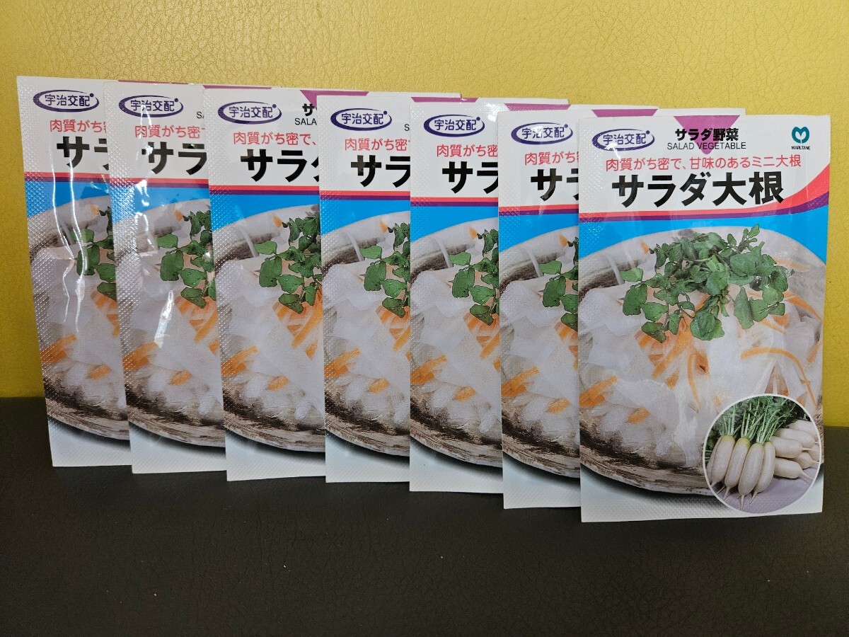 ダイコン種 サラダ大根 3.5ml×7袋 未開封有効期限切れの画像1