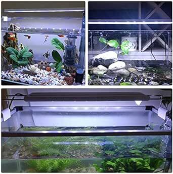 LEDGLE 水槽ライト ledアクアリウムライト 10W 39個LED 50～60cm対応 熱帯魚/観賞魚飼育・水草育成・水槽照_画像3