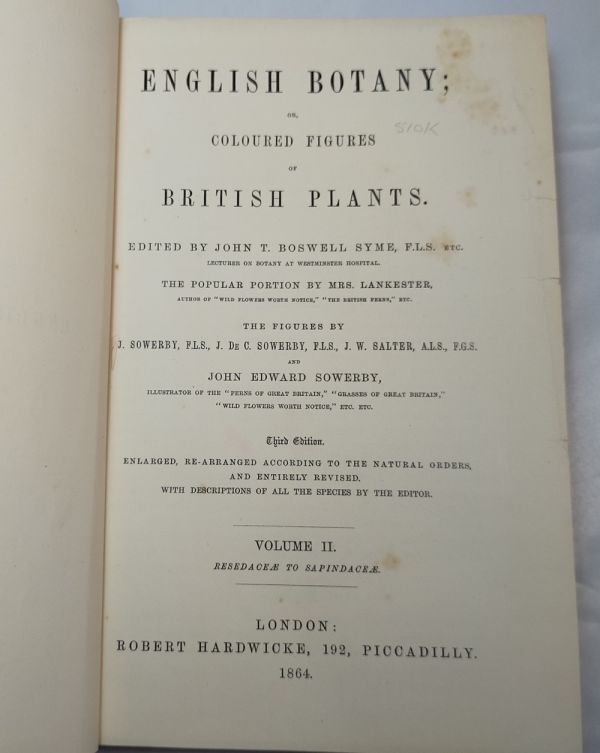 英国手彩色植物図譜全128葉★サワビィ『イングリッシュ・ボタニー』第２巻 1864年刊第３版_画像9