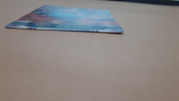 トップカード 006 バシャーモの画像3