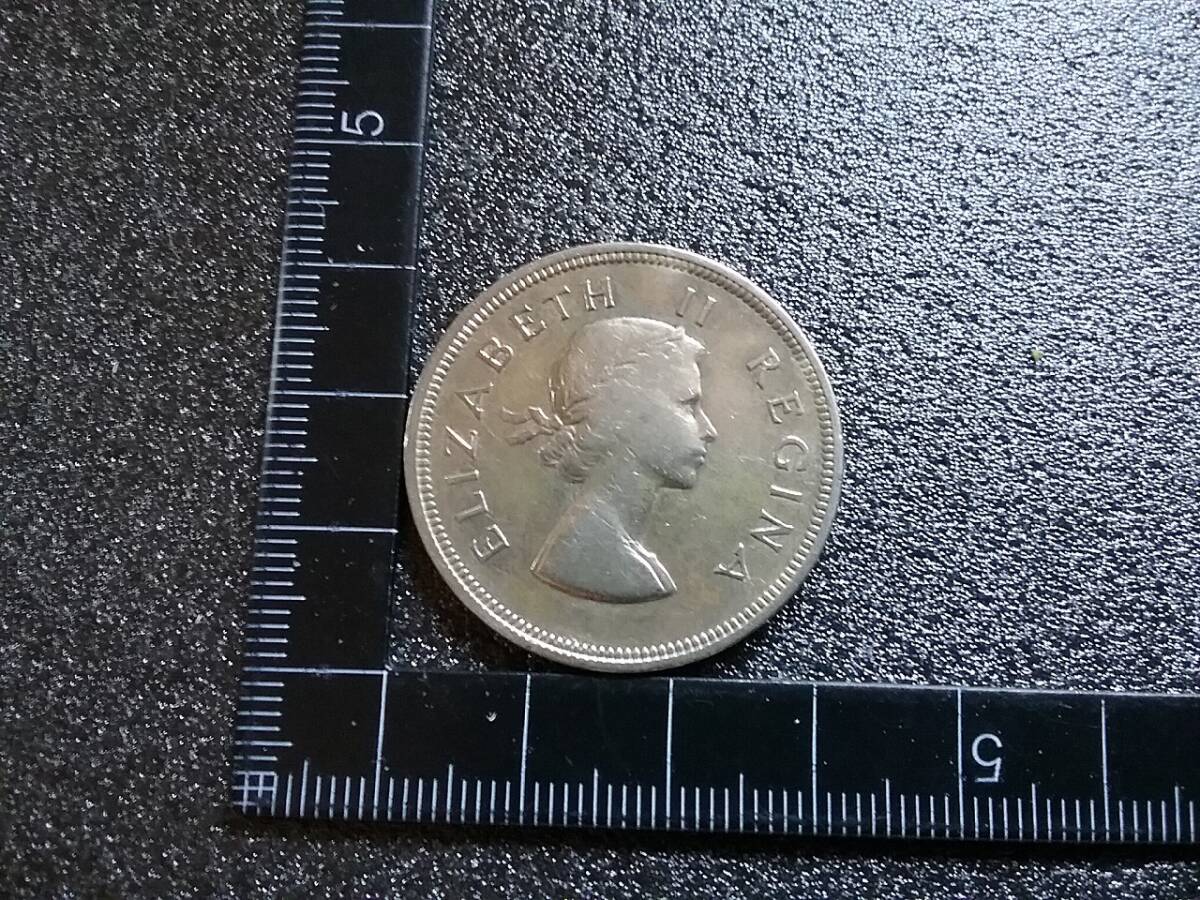 銀貨 南アフリカ 2.5シリング 1953 エリザベス2世 英連邦 2 1/2_画像3