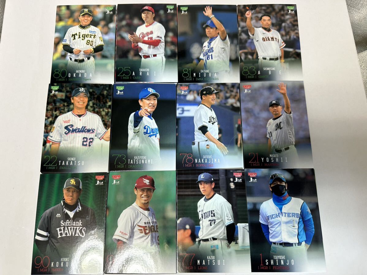 レギュラーカード全372種セット 2024 BBM BASEBALL CARD 1st Version / 阪神 広島 横浜 巨人 東京 中日 オリ 千葉 福岡 東北 埼玉 北海道_画像3