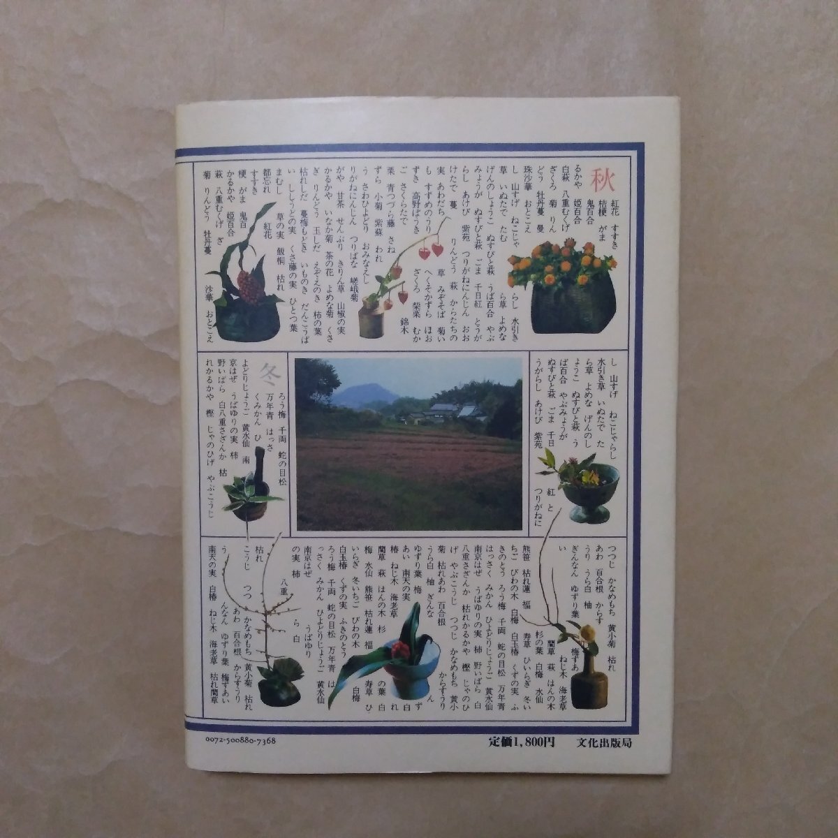 ◎大和路の野の花 井上千鶴 撮影井上博道 文化出版局 昭和58年初版の画像2