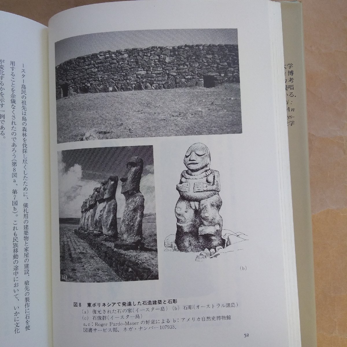 ◎考古学への招待 先史時代の民族移動 アーヴィング・ラウス著 小谷凱宣訳 岩波書店 定価4200円 1990年初版の画像8