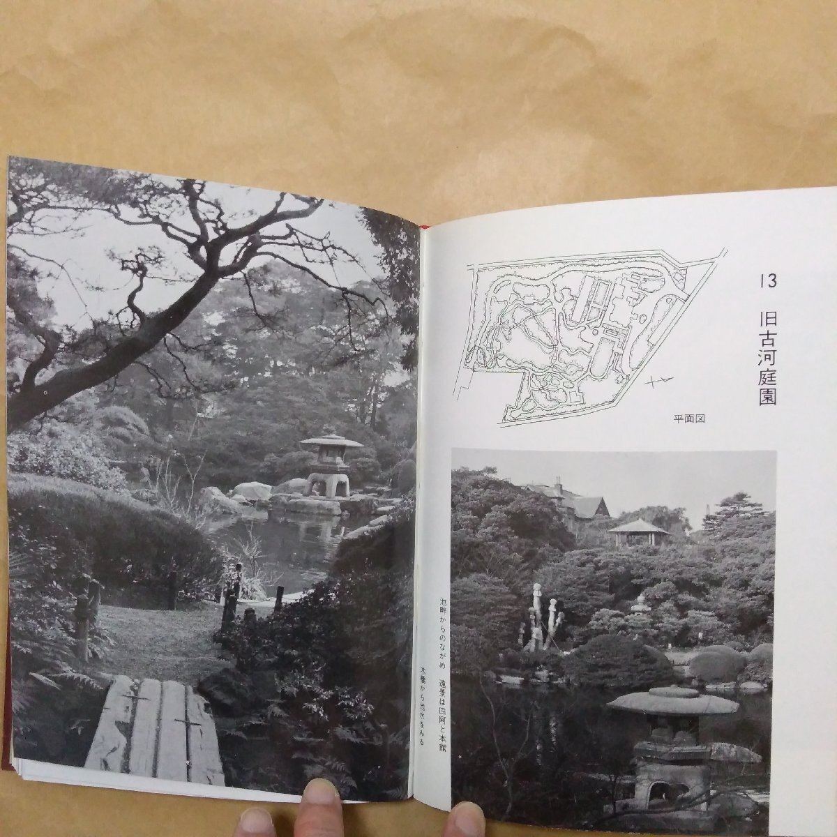 ◎写真で見る東京の庭 江戸時代から現代まで 西田富三郎著 金園社 昭和46年初版の画像10